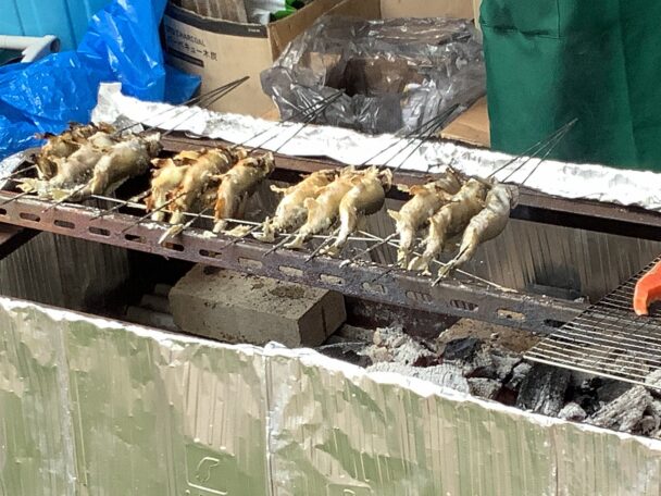 初夏の味わい